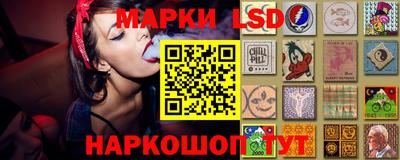 мет Камышлов