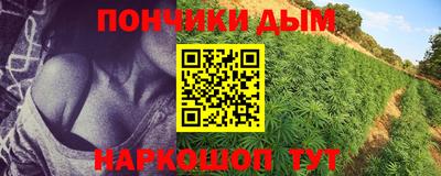 мет Камышлов
