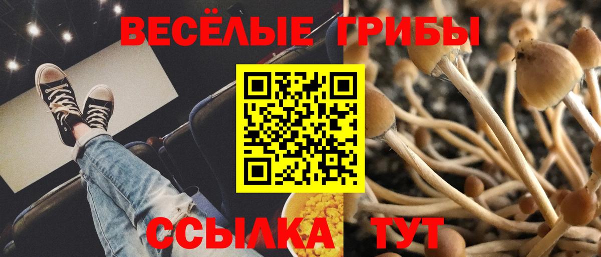 Галлюциногенные грибы Psilocybine cubensis  Вход с VPN  Конаково 